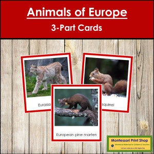 Animali d'Europa (codificati a colori) - Schede Montessori sui continenti - Geografia - Schede Montessori stampabili - Download digitale