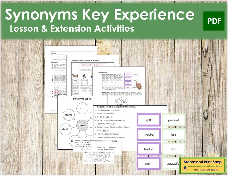 Synonyms Key Experience Elementary Montessori Language & Etsy
