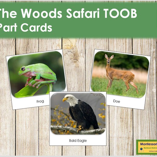In the Water Safari TOOB Cards Printable Montessori Cards - Etsy