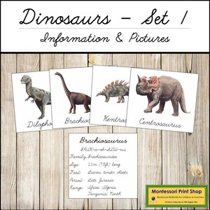 Set di carte sui dinosauri 1 (corsivo) - Montessori Science & Zoology - Carte Montessori stampabili - Download digitale