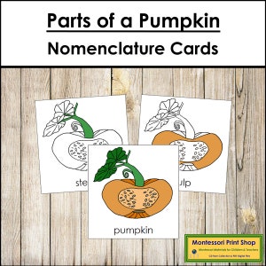Tarjetas de 3 partes con la nomenclatura de las partes de una calabaza - Botánica Montessori - Materiales Montessori imprimibles - Descarga digital