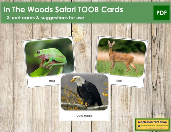 Free Printable Fact Cards For Toob