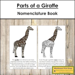 Libro sulla nomenclatura delle parti di una giraffa - Zoologia Montessori - Materiali Montessori stampabili - Download digitale