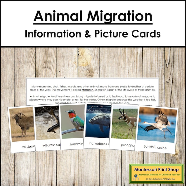 Animal Migration Cards - Science - Printable Montessori Cards - Digital Download