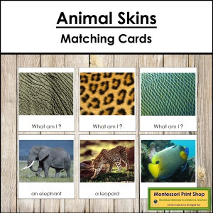 Animals And Their Skin Matching Cards - Zoology - Printable Montessori Cards - Digital Download