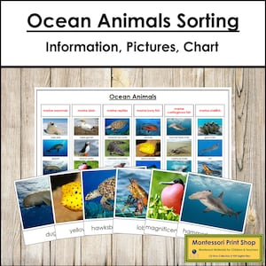 Ocean Animals Sorting Cards & Control Chart - Zoology - Printable Montessori Cards - Digital Download