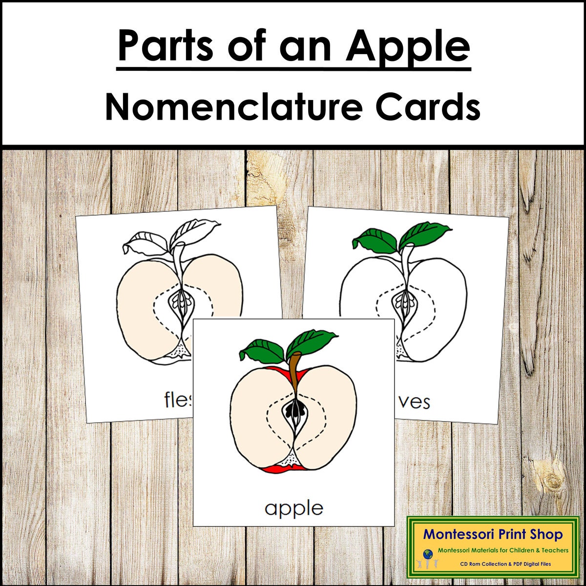 Parts of an Apple Nomenclature 3-Part Cards & Blackline Master - Montessori Botany (Digital Download)