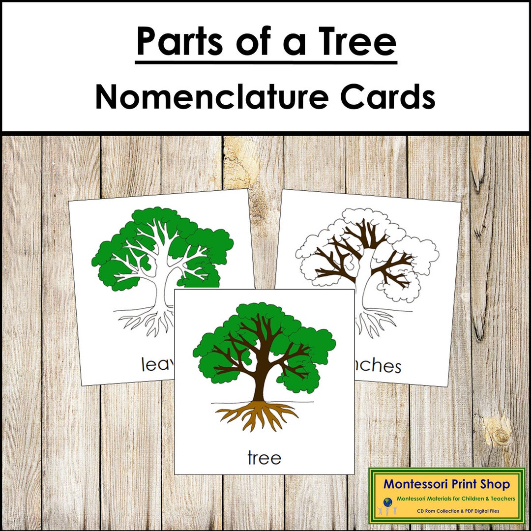 Parts of a Tree Nomenclature 3-part Cards & Blackline Master ...