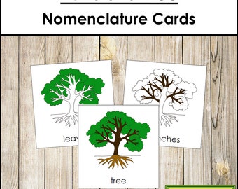 Parts of a Tree Nomenclature 3-Part Cards - Montessori Botany - Printable Montessori Materials - Digital Download