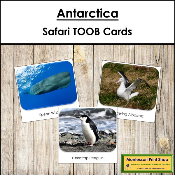 Tarjetas TOOB Safari en la Antártida - Tarjetas Montessori imprimibles - Descarga digital