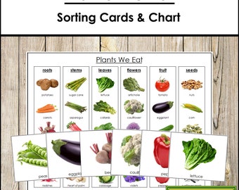 Plants We Eat Sorting Cards & Control Chart - Montessori Science - Printable Montessori Cards - Digital Download