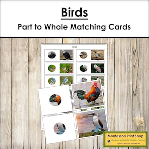 Tarjetas de correspondencia de partes y todo de aves y tabla de control - Zoología - Tarjetas Montessori imprimibles - Descarga digital