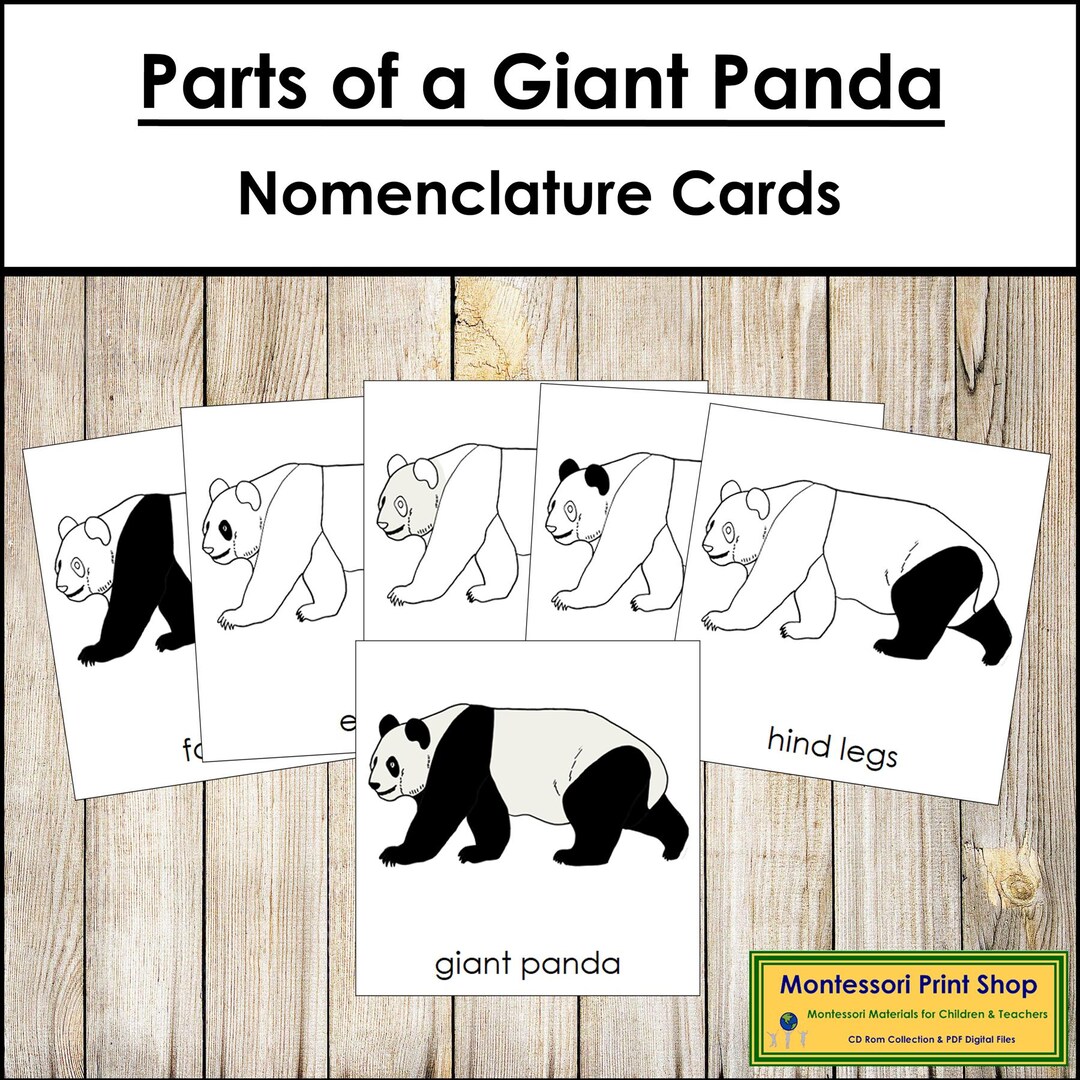Parts of a Giant Panda Nomenclature 3-part Cards & Blackline