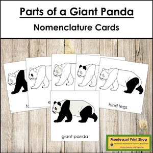 Parts of a Giant Panda Nomenclature 3-Part Cards & Blackline Master - Montessori Zoology (Digital Download)