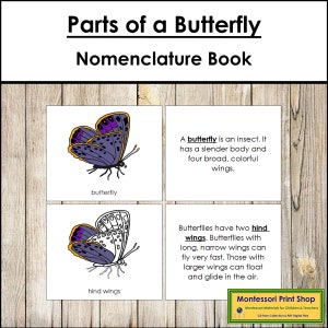 Parts of a Butterfly Nomenclature Book - Montessori Zoology - Printable Montessori Materials - Digital Download