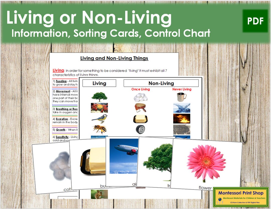 Living Or Non Living Sorting Cards Control Chart Science Etsy Uk Living Or Non Living Sorting Cards Control Chart Science Etsy Uk