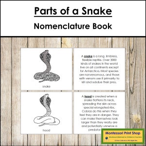 Livro de Nomenclatura das Partes de uma Cobra - Zoologia Montessori - Materiais Montessori para Imprimir - Download Digital