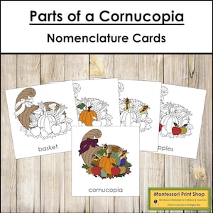 Parts of a Cornucopia Montessori Nomenclature 3-Part Cards & Blackline Master - Thanksgiving (Digital Download)