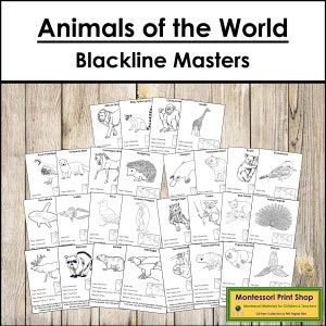 Animals of the World Information Cards Bundle (Blackline Masters) - Montessori Zoology - Printable Montessori Cards - Digital Download