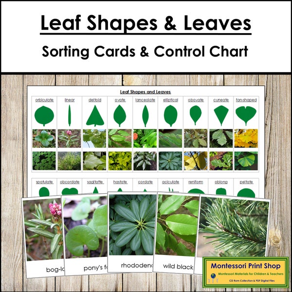 Leaf Shapes and Leaves Sorting Cards & Control Chart - Montessori Science - Printable Montessori Cards - Digital Download