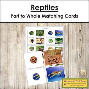 Tarjetas de correspondencia de partes y todo de reptiles y tabla de control - Zoología - Tarjetas Montessori imprimibles - Descarga digital