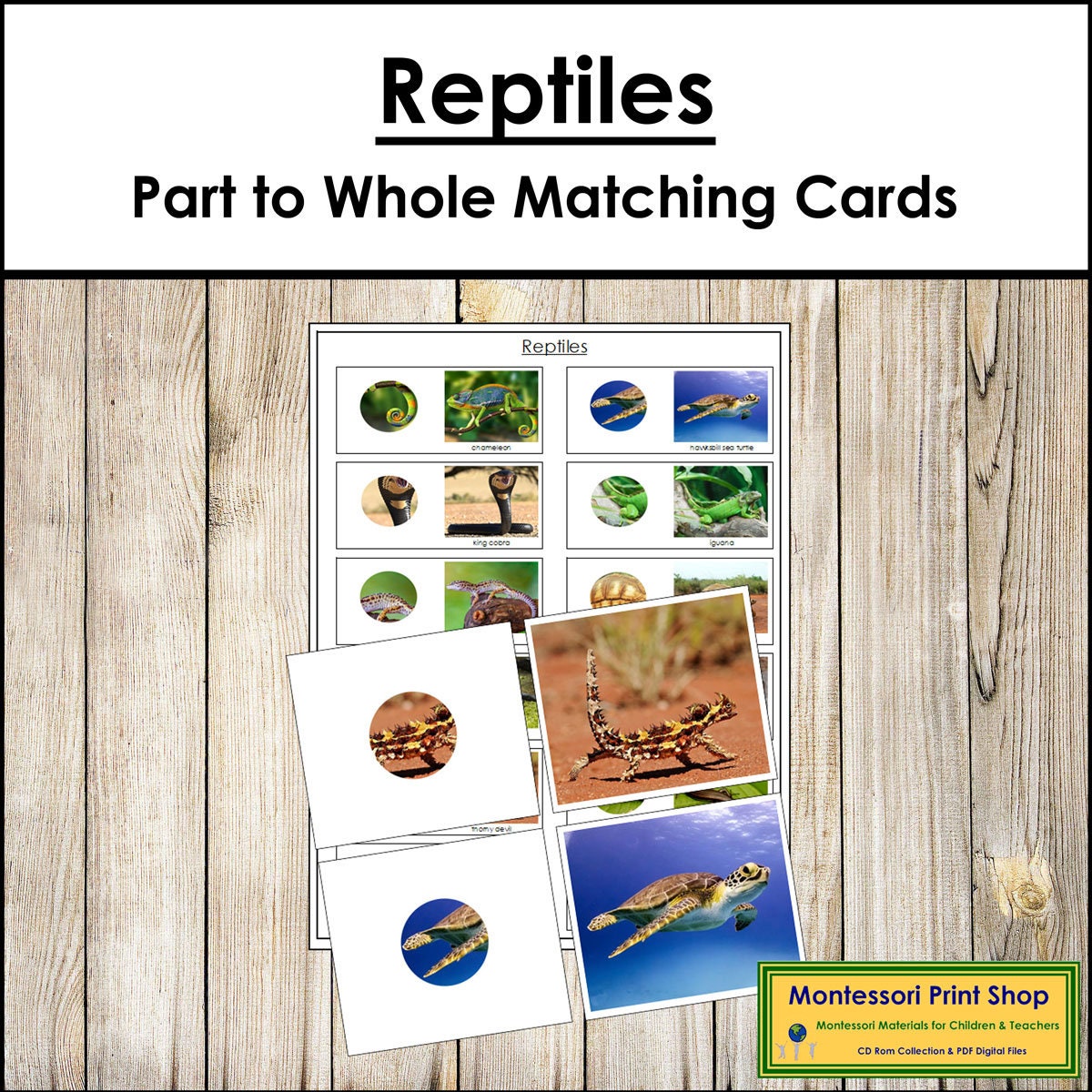 Reptiles Part to Whole Matching Cards & Control Chart - Zoology - Printable Montessori Cards - Digital Download