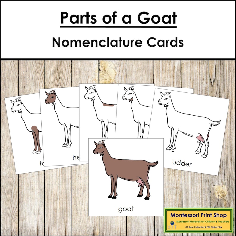 Parts of a Goat Nomenclature 3-part Cards & Blackline Master ...