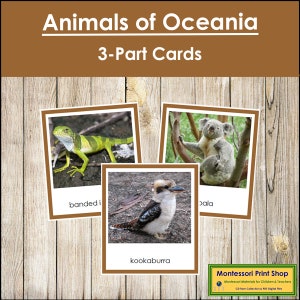 Animaux d'Australie/Océanie (code couleur) - Cartes Montessori Continent - Géographie - Cartes Montessori imprimables - Téléchargement numérique