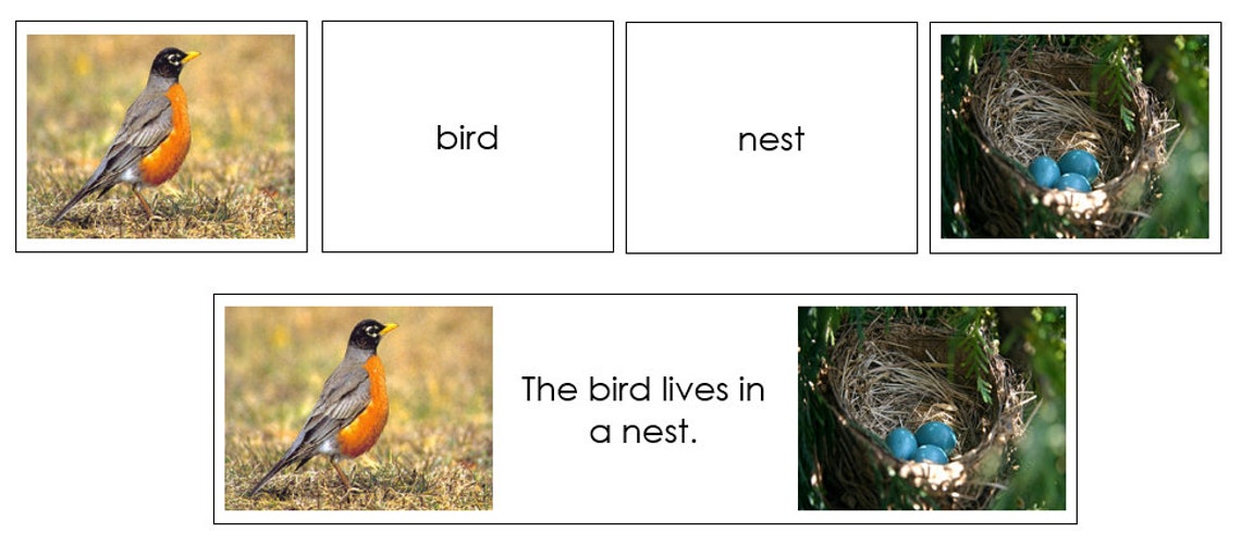 Animals and Their Homes Matching Cards - Montessori Zoology (digital ...