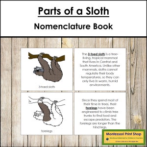 Livro de Nomenclatura das Partes de uma Preguiça - Zoologia - Materiais Montessori para Imprimir - Download Digital