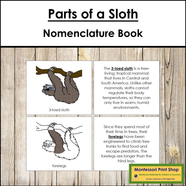 Parts of a Sloth Nomenclature Book - Zoology - Printable Montessori Materials - Digital Download