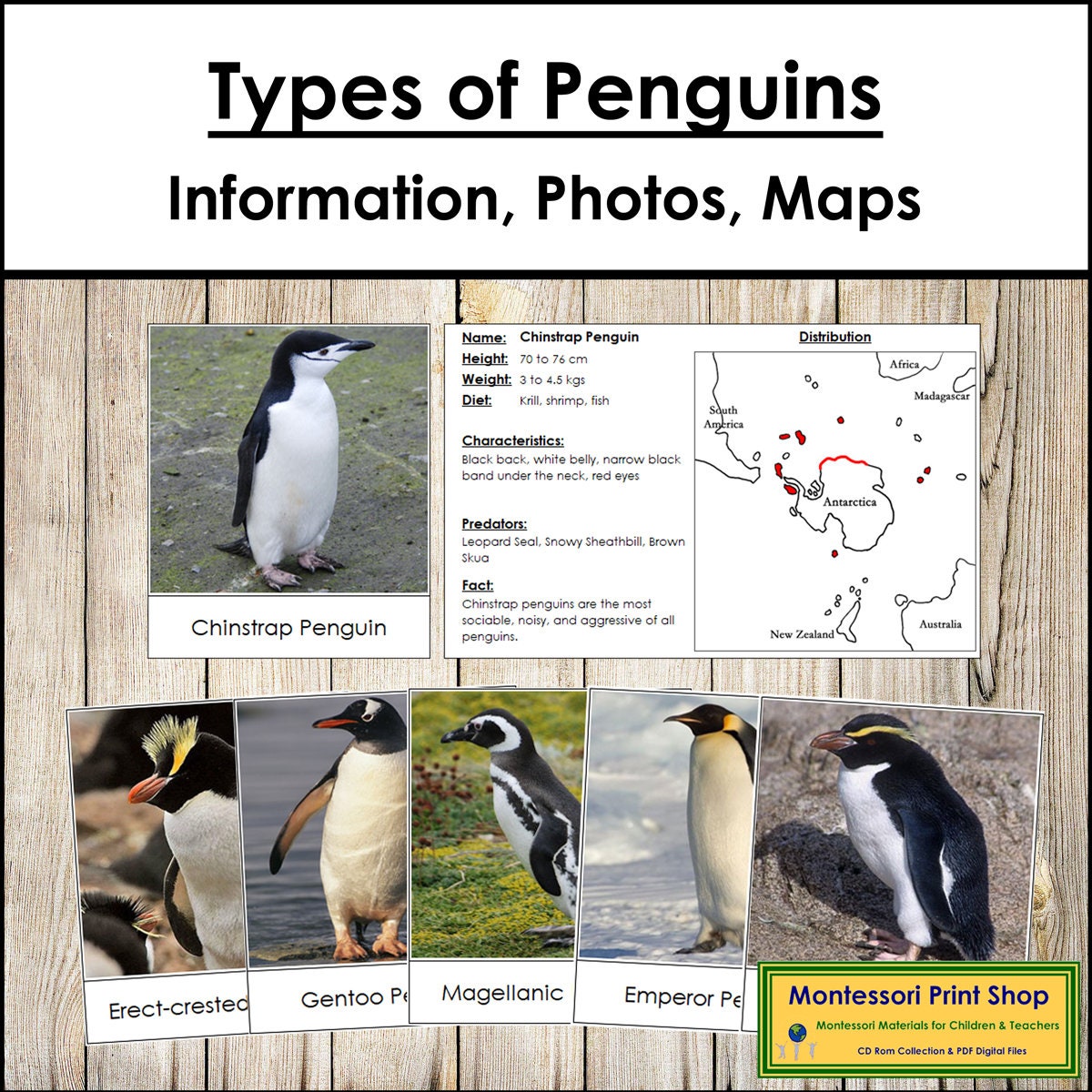 Chinstrap Penguin Habitat Map