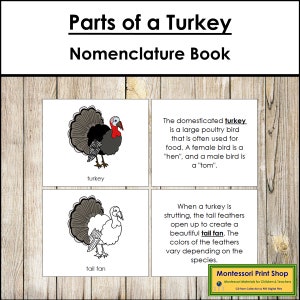 Livro de Nomenclatura das Partes de um Peru - Zoologia Montessori - Materiais Montessori para Imprimir - Download Digital