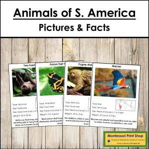 Informations sur les animaux d'Amérique du Sud et cartes (code couleur) - zoologie Montessori - cartes Montessori imprimables - téléchargement numérique