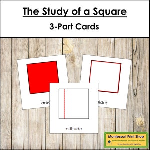 Lo studio della nomenclatura del quadrato - Schede in 3 parti - Geometria - Materiali Montessori stampabili - Download digitale