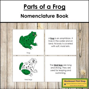 Parts of a Frog Nomenclature Book - Montessori Zoology - Printable Montessori Materials - Digital Download