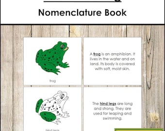 Parts of the Frog Nomenclature Cards - Etsy