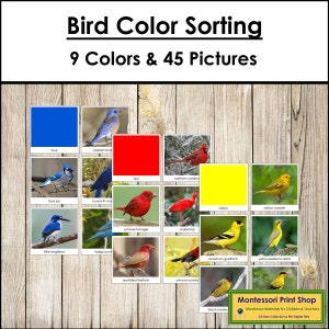 Tri de couleurs oiseau - Cartes Montessori sensorielles - imprimables Montessori - téléchargement numérique