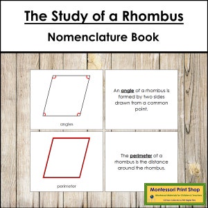 The Study of a Rhombus Nomenclature Book - Geometry - Printable Montessori Materials - Digital Download