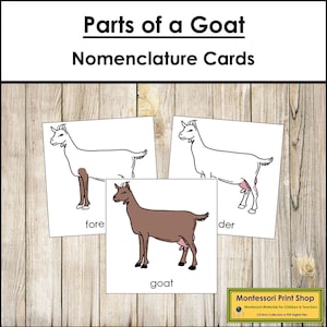 Parts of a Goat Nomenclature 3-Part Cards - Montessori Zoology - Printable Montessori Materials - Digital Download