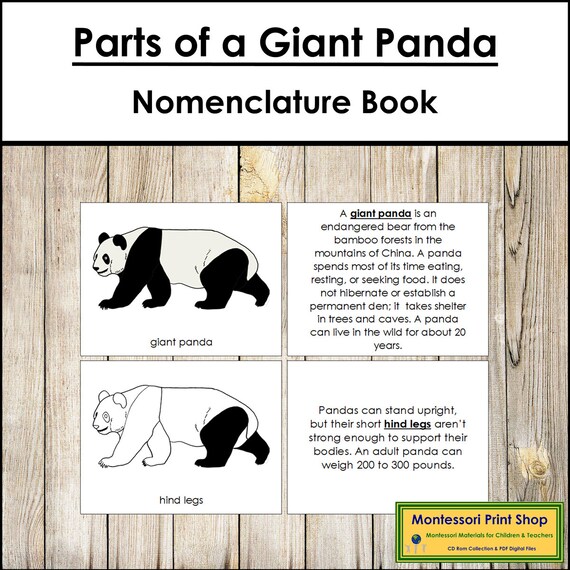 Teile Eines Panda Nomenklaturbuches Montessori Zoologie Montessori.