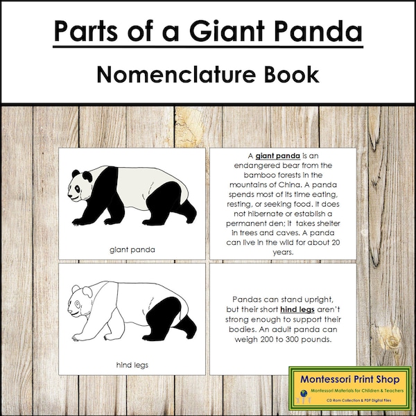 Parts of a Giant Panda Nomenclature Book - Montessori Zoology - Printable Montessori Materials - Digital Download