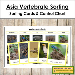 Tarjetas de clasificación de vertebrados asiáticos y tabla de control (codificadas por colores) - Zoología Montessori - Tarjetas Montessori imprimibles - Descarga digital
