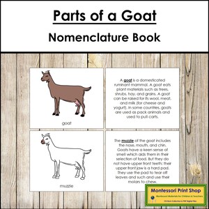Libro sulla nomenclatura delle parti di una capra - Zoologia Montessori - Materiali Montessori stampabili - Download digitale