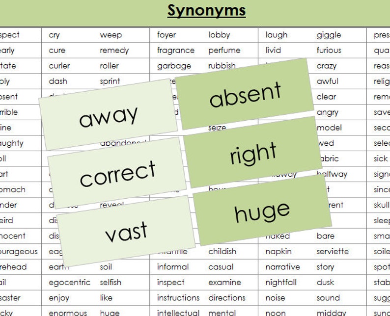 Synonyms colorcoded Montessori Grammar Printable Montessori Materials