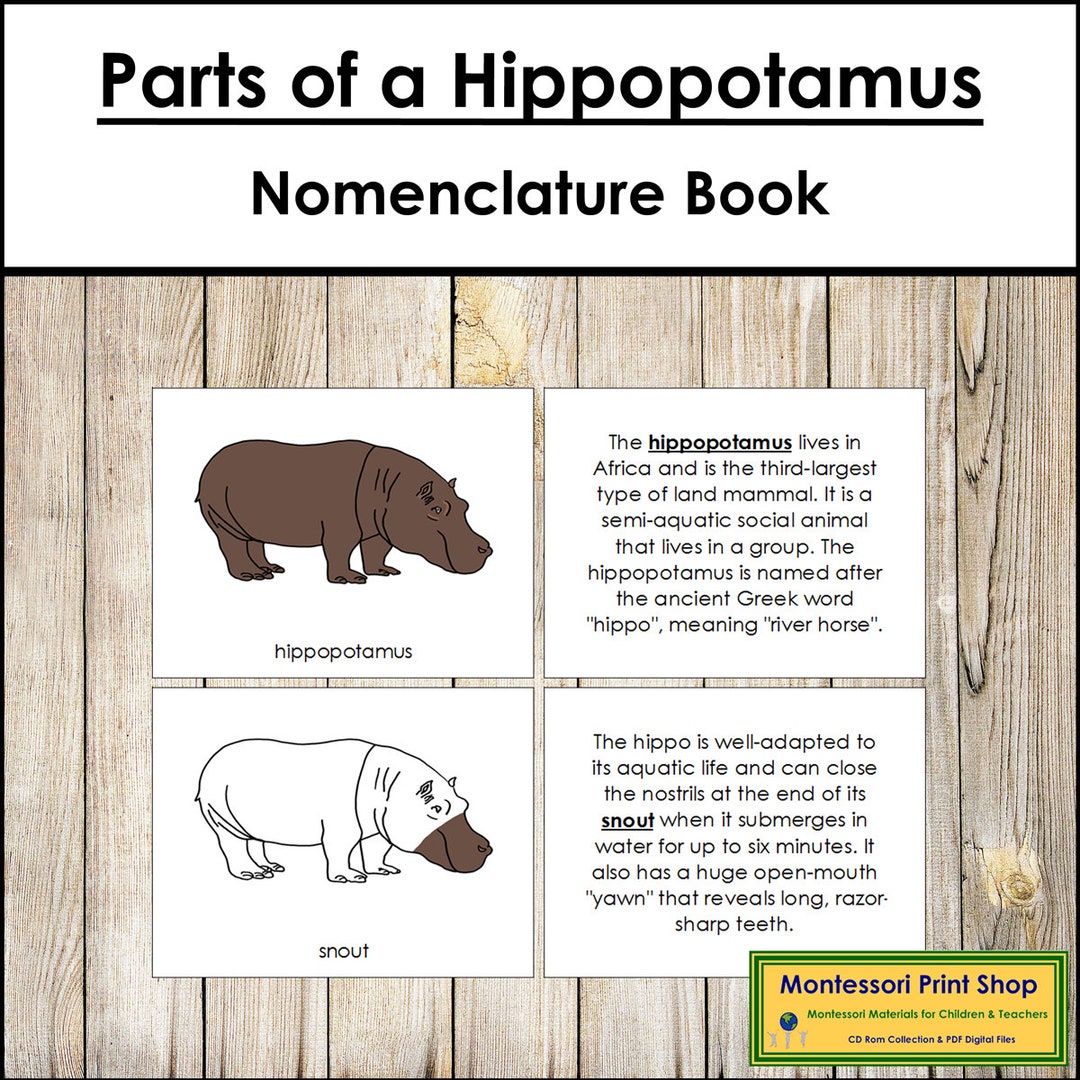 Hippo il_1080xN.5244754237_fwai.jpg
