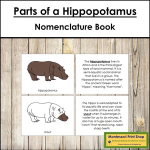 Parti di un libro di nomenclatura di ippopotamo - Zoologia Montessori - Materiali Montessori stampabili - Download digitale