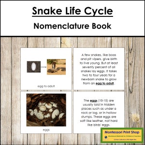 O livro O Ciclo de Vida da Cobra - Nomenclatura Montessori - Materiais Montessori para Imprimir - Download Digital