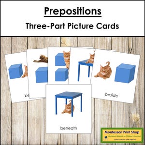 Preposition Cards [Cat-Theme] - Montessori Grammar & Language (Digital Download)