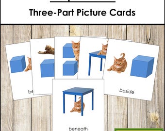 Preposition Cards [Cat-Theme] - Montessori Grammar & Language (Digital Download)